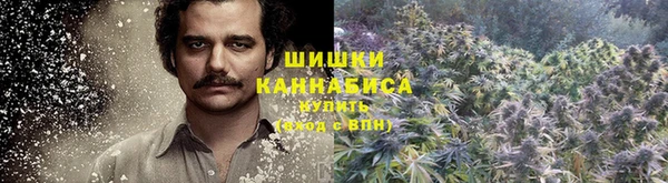 метадон Зеленодольск