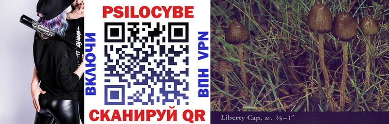 Купить где Вязьма Галлюциногенные грибы MAGIC MUSHROOMS
